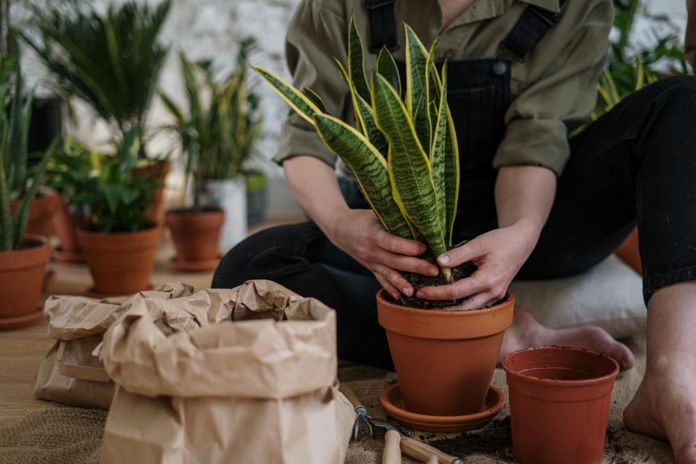 choix outils jardin